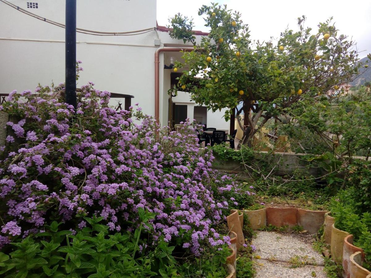 Sa Corte Antiga Nebida Exterior foto